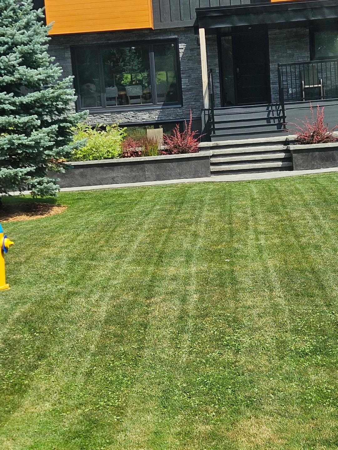 Stamped concrete stairs and retaining wall on modern home